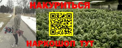 крисы Долгопрудный