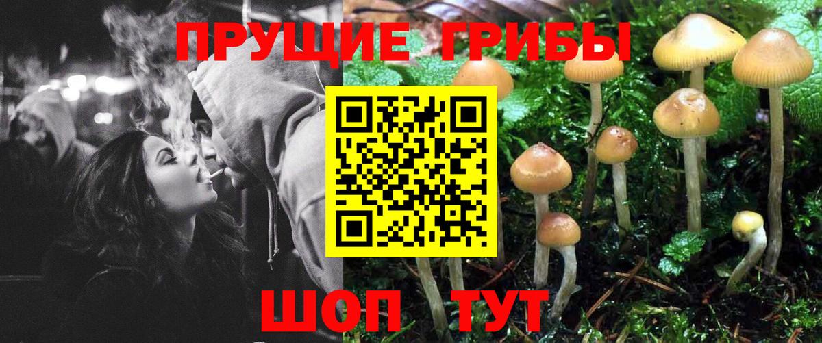 Псилоцибиновые грибы прущие грибы Кореновск