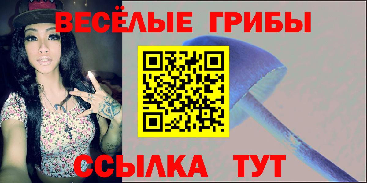 Кореновск  Псилоцибиновые грибы Psilocybe  Вход с VPN 